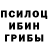 Псилоцибиновые грибы Psilocybe Laziza Djalilova