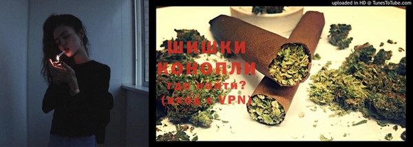 прущие грибы Алексеевка