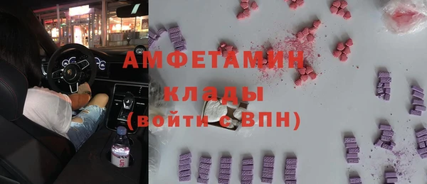 ECSTASY Алзамай