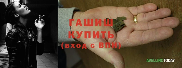 прущие грибы Алексеевка