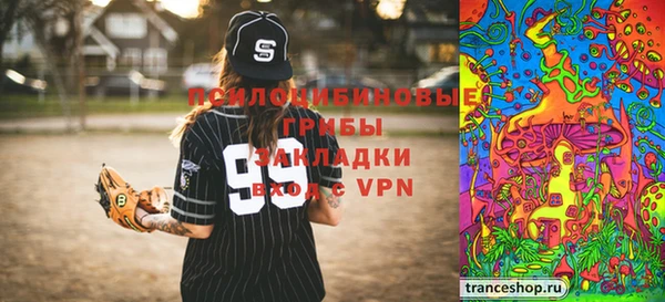 прущие грибы Алексеевка