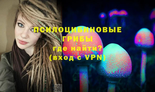 прущие грибы Алексеевка