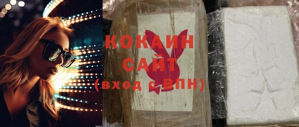 ECSTASY Алзамай